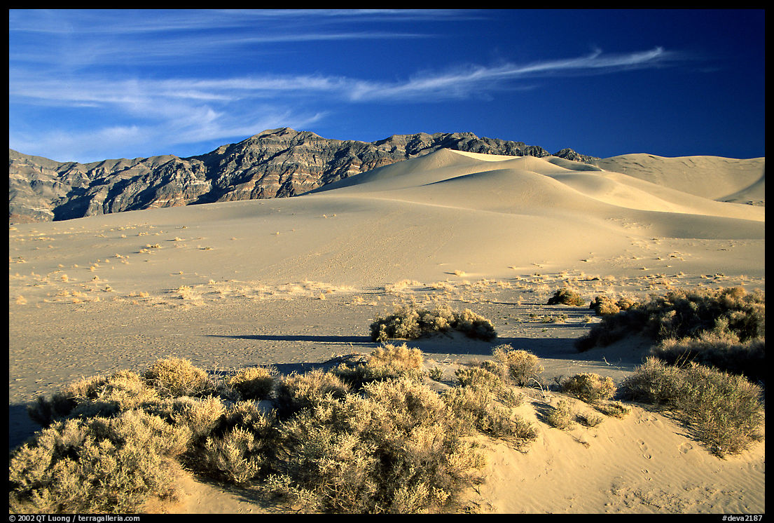 Eureka sand dunes, late afternoon. Death Valley National Park, California, USA.