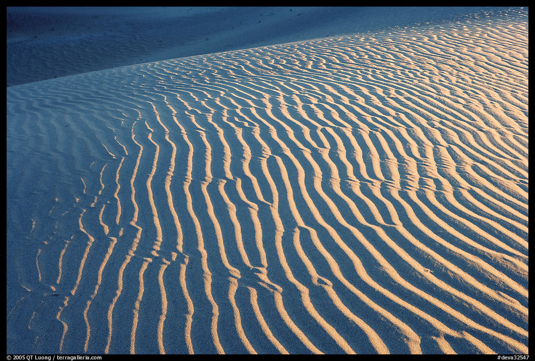 Sand ripples close-up, sunrise. Death Valley National Park, California, USA.