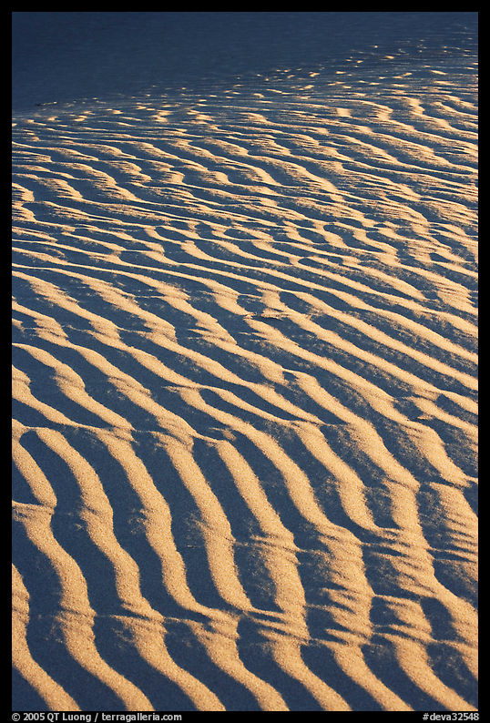 Close-up of Sand ripples, sunrise. Death Valley National Park, California, USA.