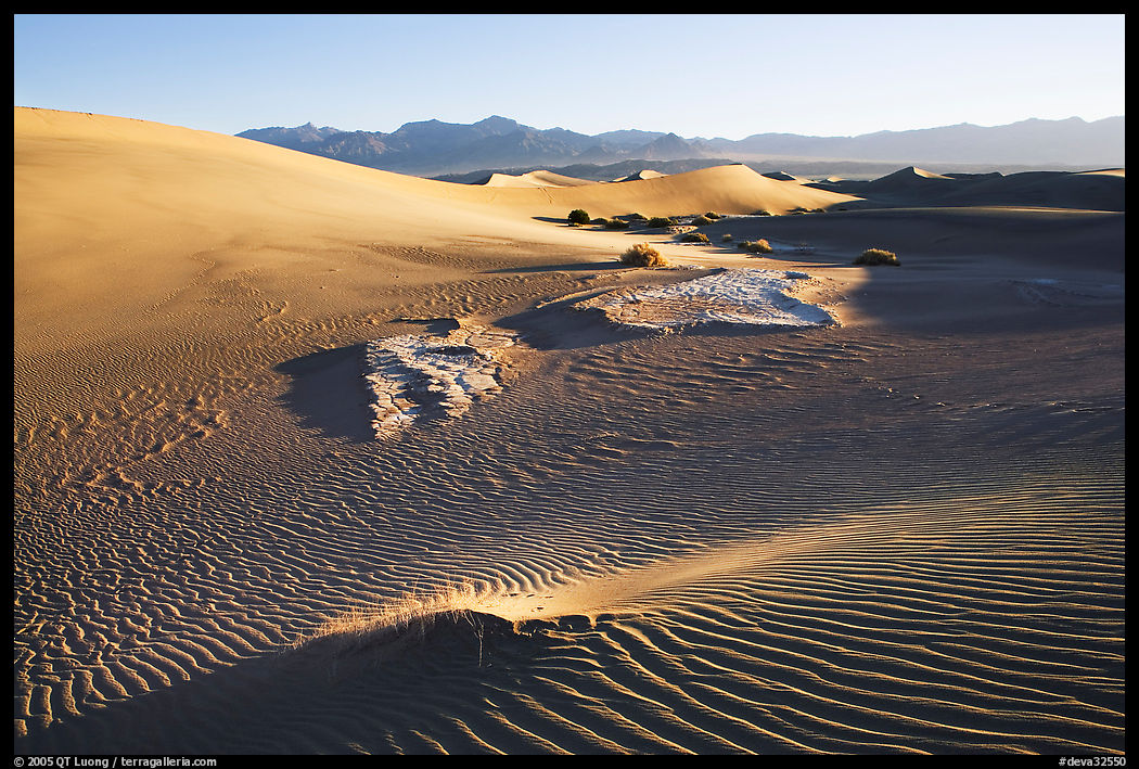 Depression in dunes with sand ripples, Mesquite Sand Dunes, early morning. Death Valley National Park, California, USA.