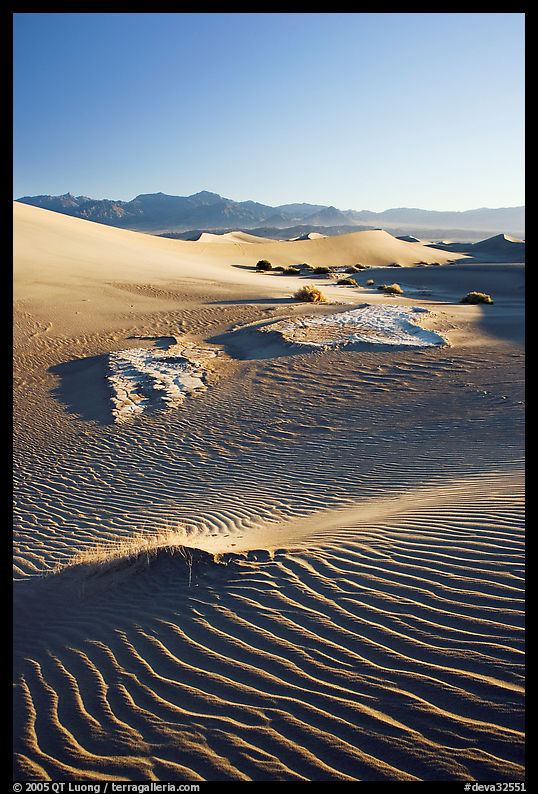 Depression in dunes with sand ripples, Mesquite Sand Dunes, early morning. Death Valley National Park, California, USA.