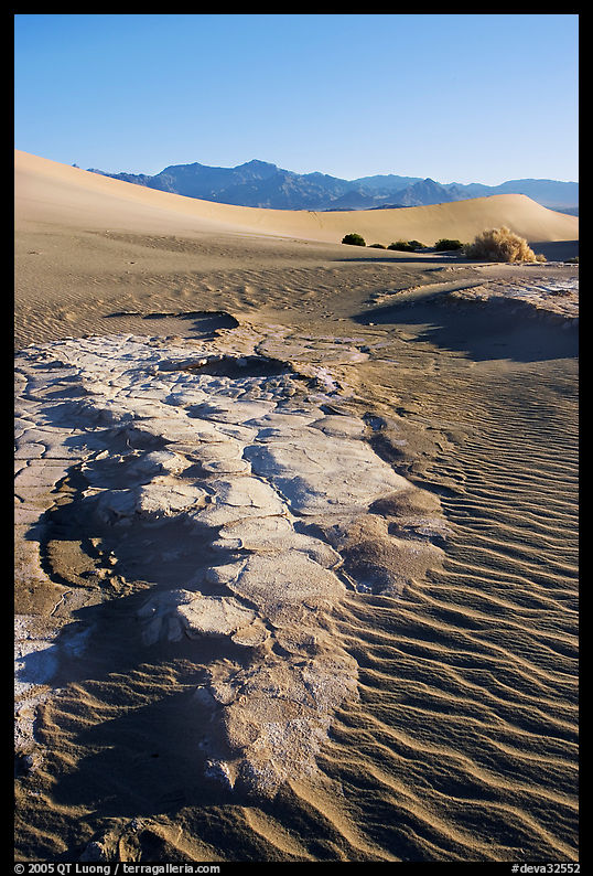 Cracked mud and sand ripples, Mesquite Sand Dunes, early morning. Death Valley National Park, California, USA.