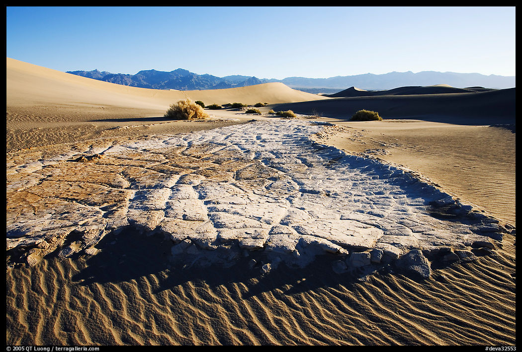 Cracked mud and sand ripples, Mesquite Sand Dunes, early morning. Death Valley National Park, California, USA.