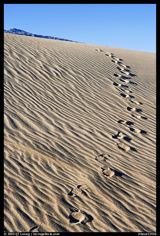Footprints in the sand. Death Valley National Park, California, USA.