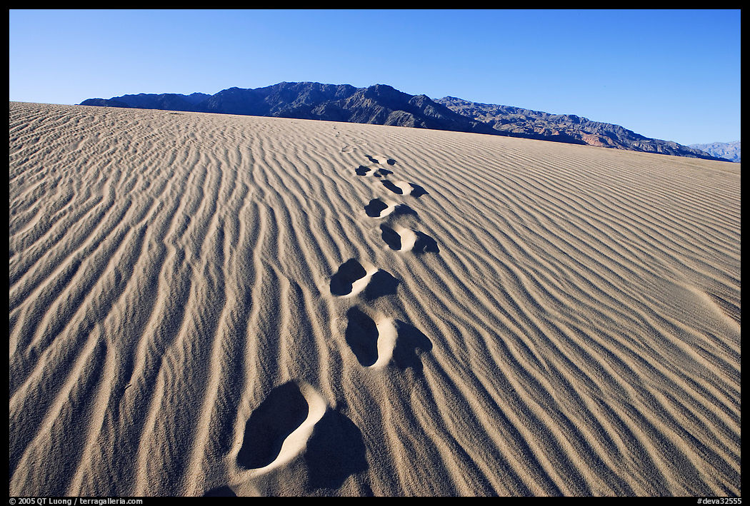 Footprints in the sand leading towards mountain. Death Valley National Park, California, USA.