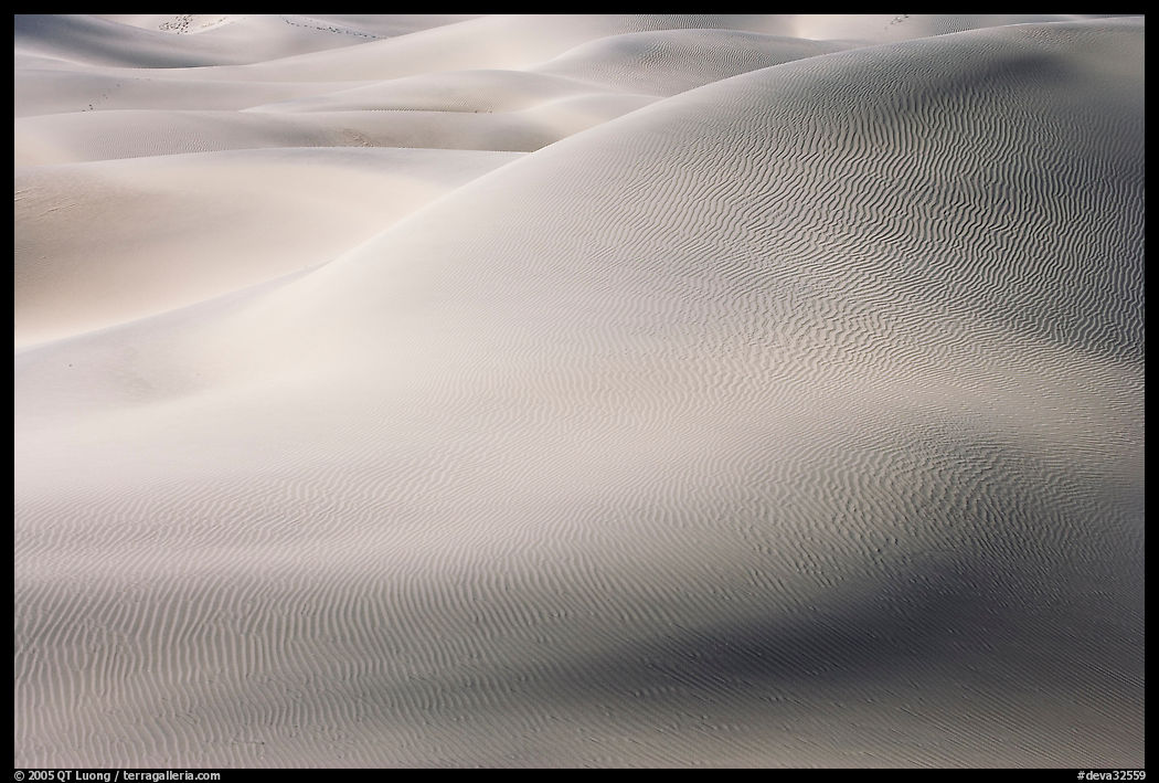 Sensuous forms in the sand, Mesquite Dunes, morning. Death Valley National Park, California, USA.