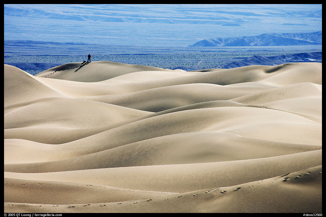 Dune ridges with photographer in the distance, Mesquite Sand Dunes, morning. Death Valley National Park, California, USA.