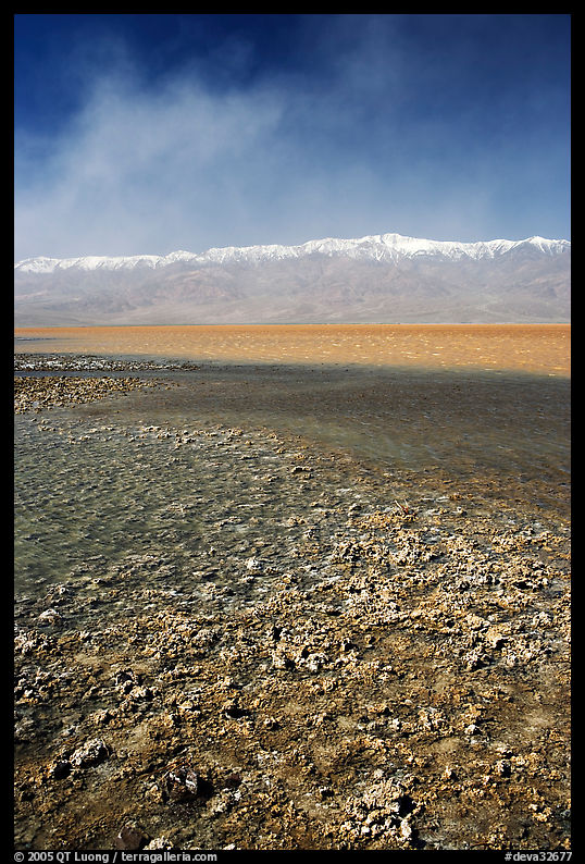 Salt formations on shore of Death Valley Lake, morning. Death Valley National Park, California, USA.