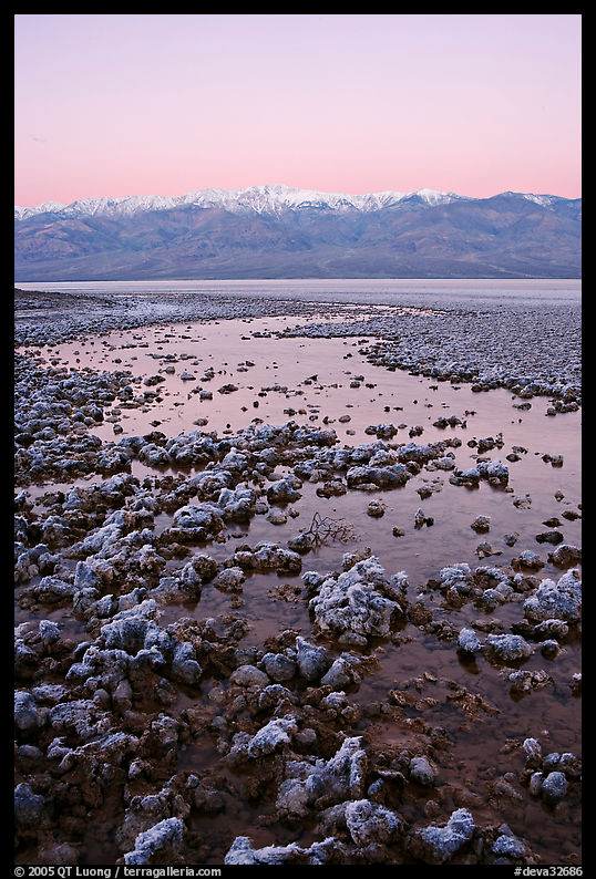 Recently emerged salt pools, Badwater, dawn. Death Valley National Park, California, USA.