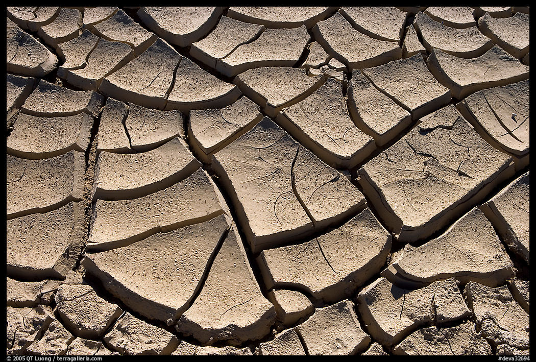 Mud cracks. Death Valley National Park, California, USA.