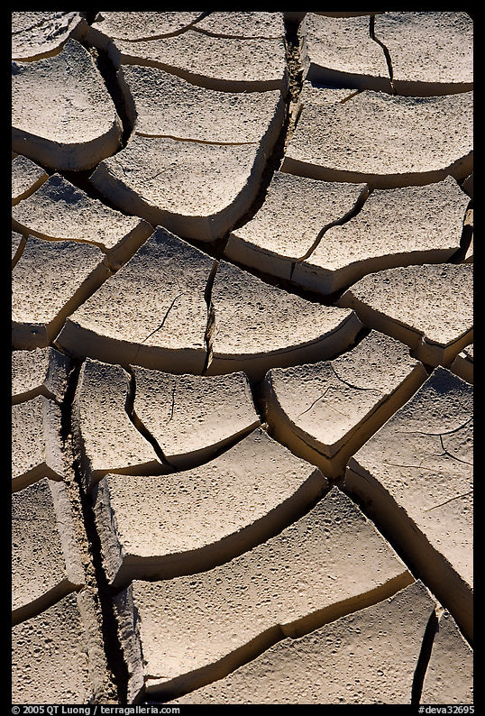 Cracked mud. Death Valley National Park, California, USA.