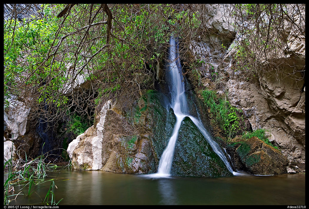 Darwin Falls desert oasis. Death Valley National Park, California, USA.
