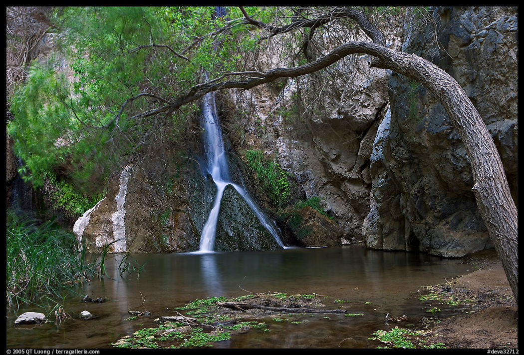 Desert Oasis with Darwin Falls. Death Valley National Park, California, USA.