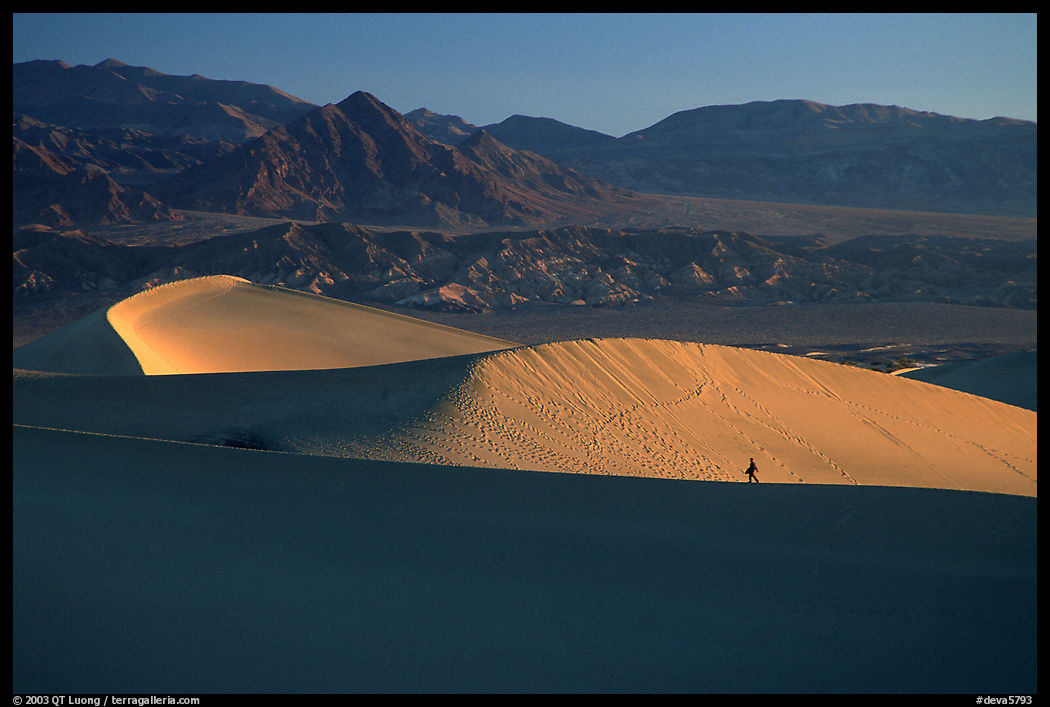 Hiker on ridge, Mesquite Dunes, sunrise. Death Valley National Park, California, USA.