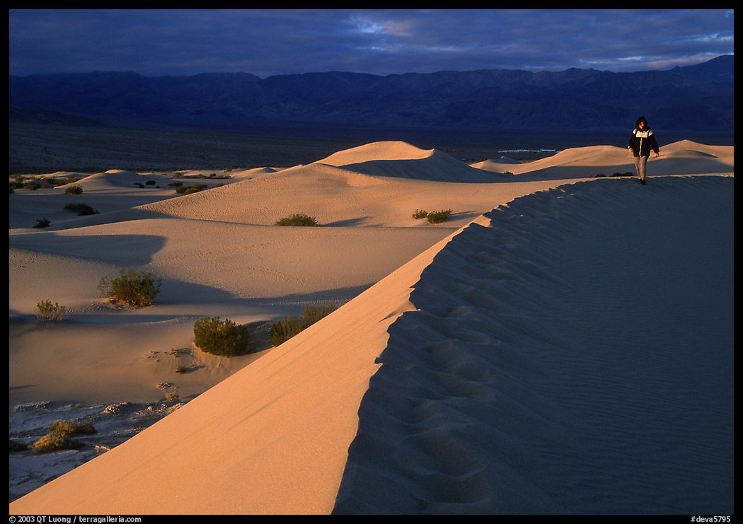 Hiker on a ridge in the Mesquite Dunes, sunrise. Death Valley National Park, California, USA.