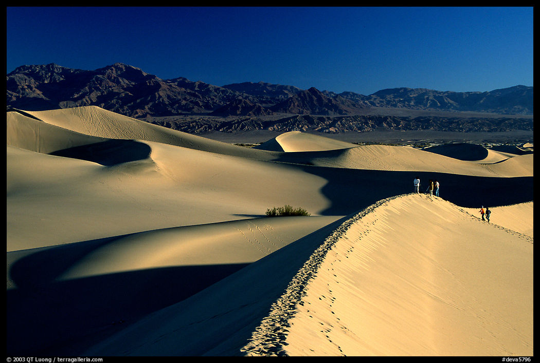 Dune field with hikers, Mesquite Dunes. Death Valley National Park, California, USA.