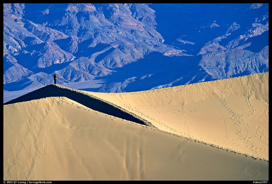 Hiker on sand dunes. Death Valley National Park, California, USA.