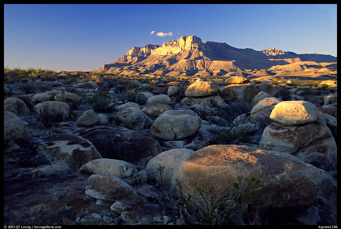 Boulders and El Capitan from the South, sunset. Guadalupe Mountains National Park, Texas, USA.