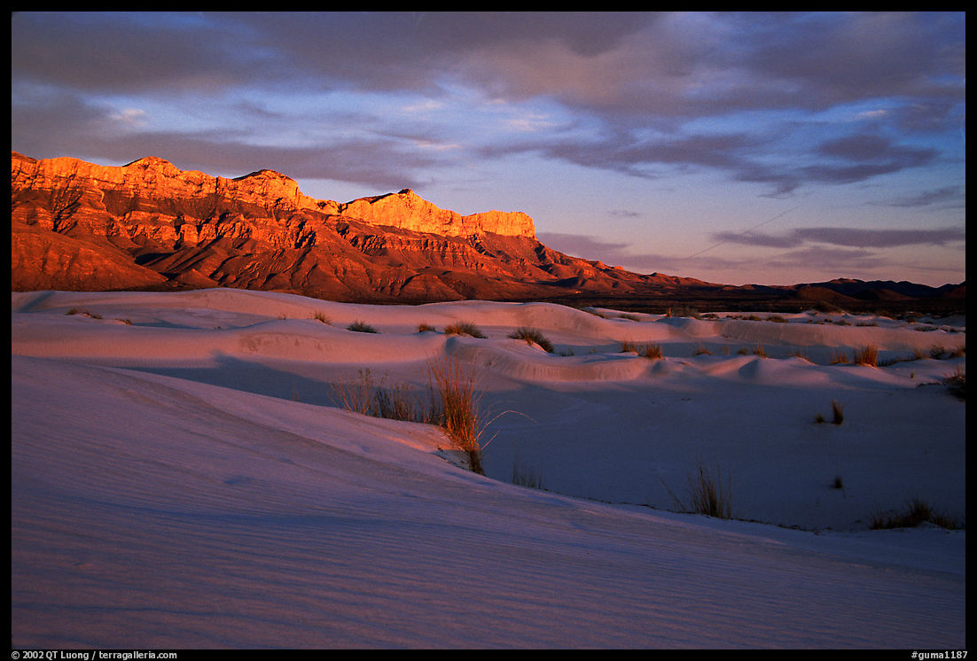 Gypsum sand dunes and Guadalupe range at sunset. Guadalupe Mountains National Park, Texas, USA.