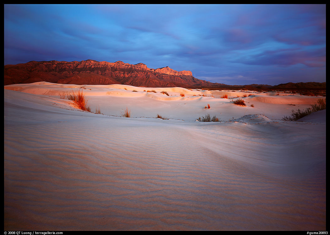 Gypsum sand dunes and last light on Guadalupe range. Guadalupe Mountains National Park, Texas, USA.
