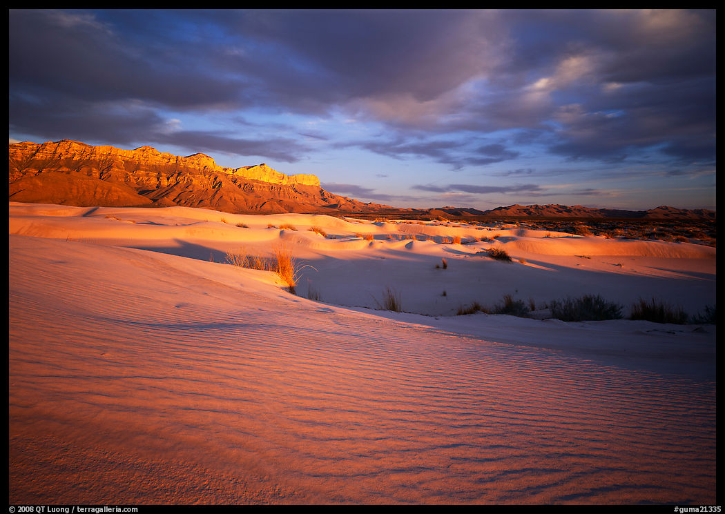 Red light of sunset on white sand dunes and Guadalupe range. Guadalupe Mountains National Park, Texas, USA.