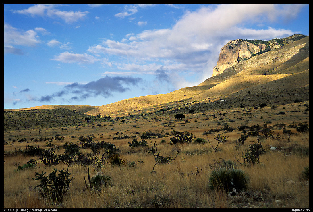 Flats and El Capitan, early morning. Guadalupe Mountains National Park, Texas, USA.