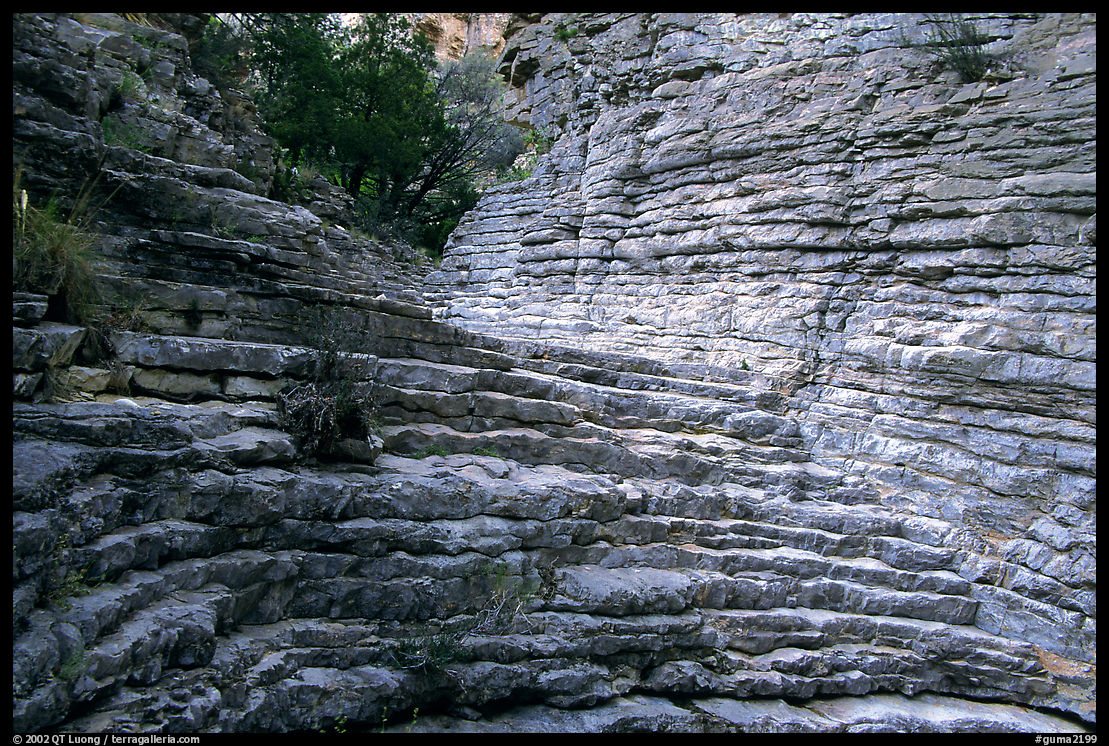 Hiker's Staircase, Pine Spring Canyon. Guadalupe Mountains National Park, Texas, USA.