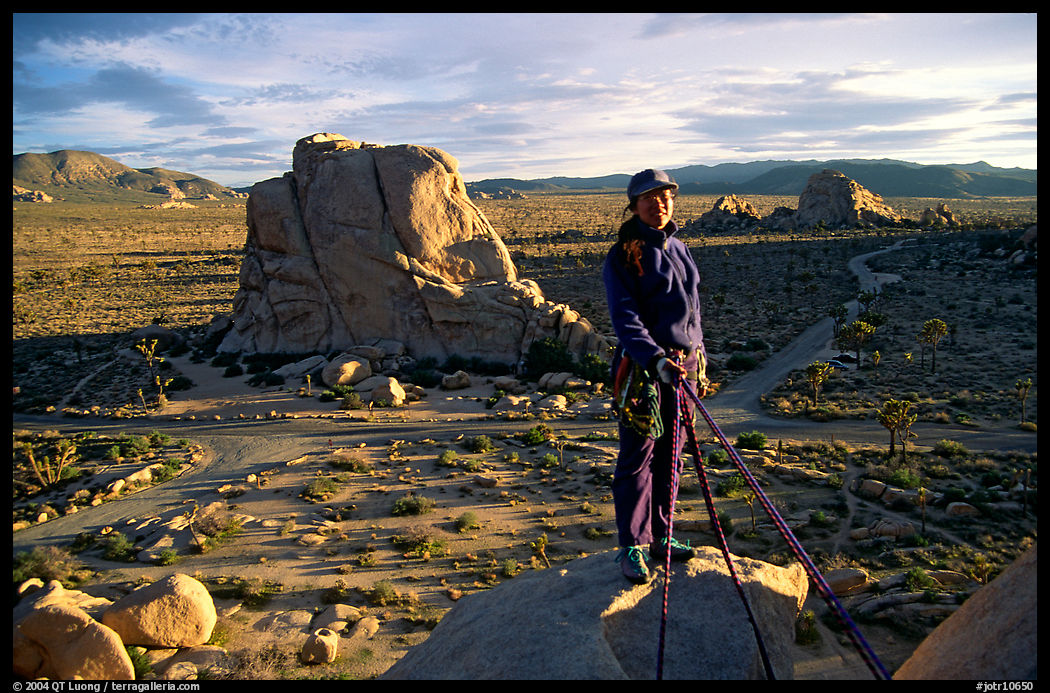 Climber getting ready to rappel down. Joshua Tree  National Park, California, USA.