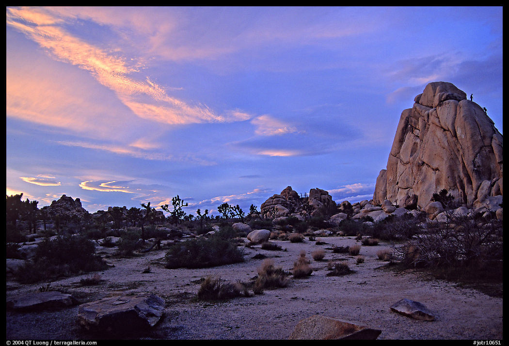 Landscape with climbers at sunset. Joshua Tree  National Park, California, USA.