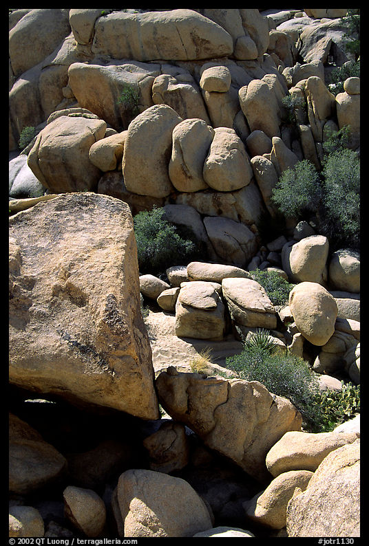 Jumble of rocks in Hidden Valley. Joshua Tree  National Park