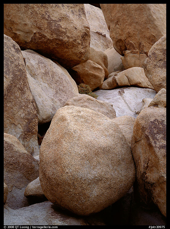 Boulders close-up, Hidden Valley. Joshua Tree  National Park, California, USA.
