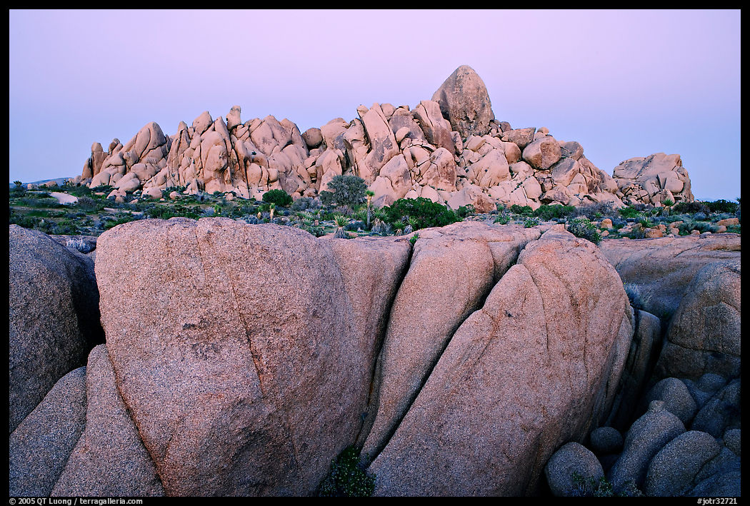 Boulders at dusk, Jumbo Rocks. Joshua Tree  National Park, California, USA.