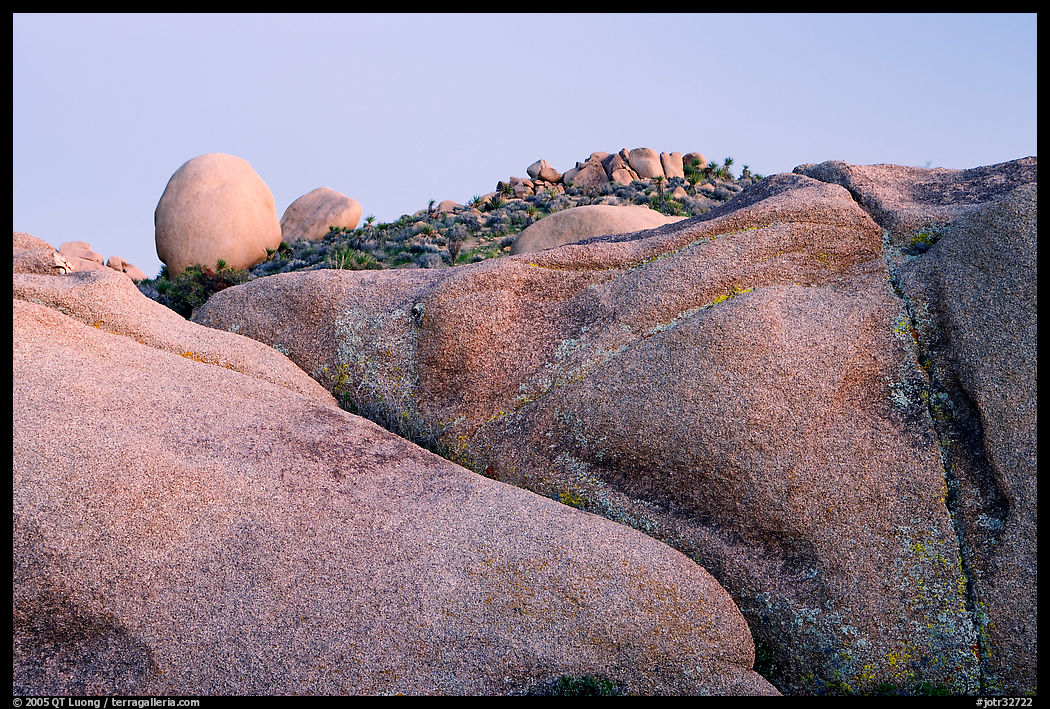 Rocks at dusk, Jumbo Rocks. Joshua Tree  National Park, California, USA.
