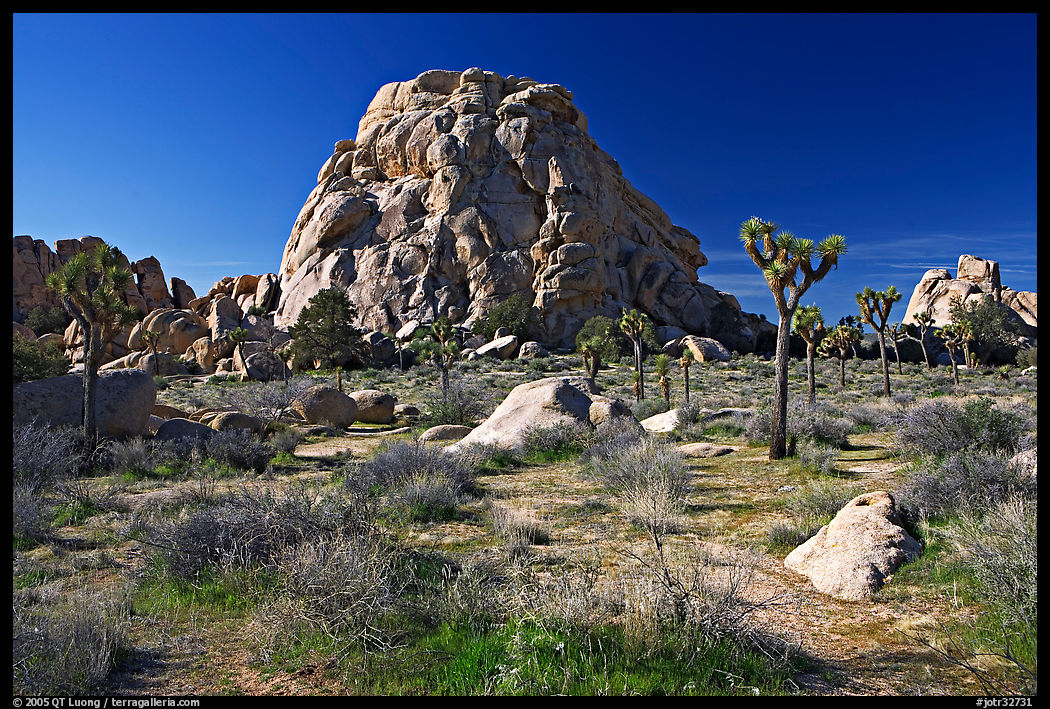 Tall rockpile. Joshua Tree  National Park, California, USA.