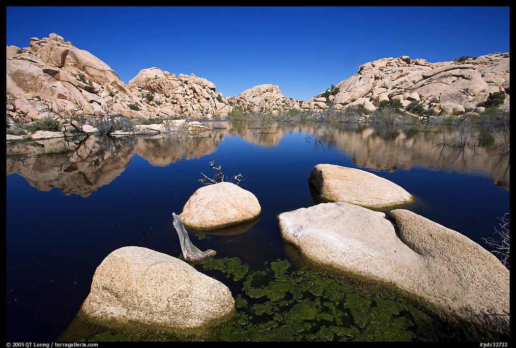 Barker Dam reservoir, mid-day. Joshua Tree  National Park, California, USA.