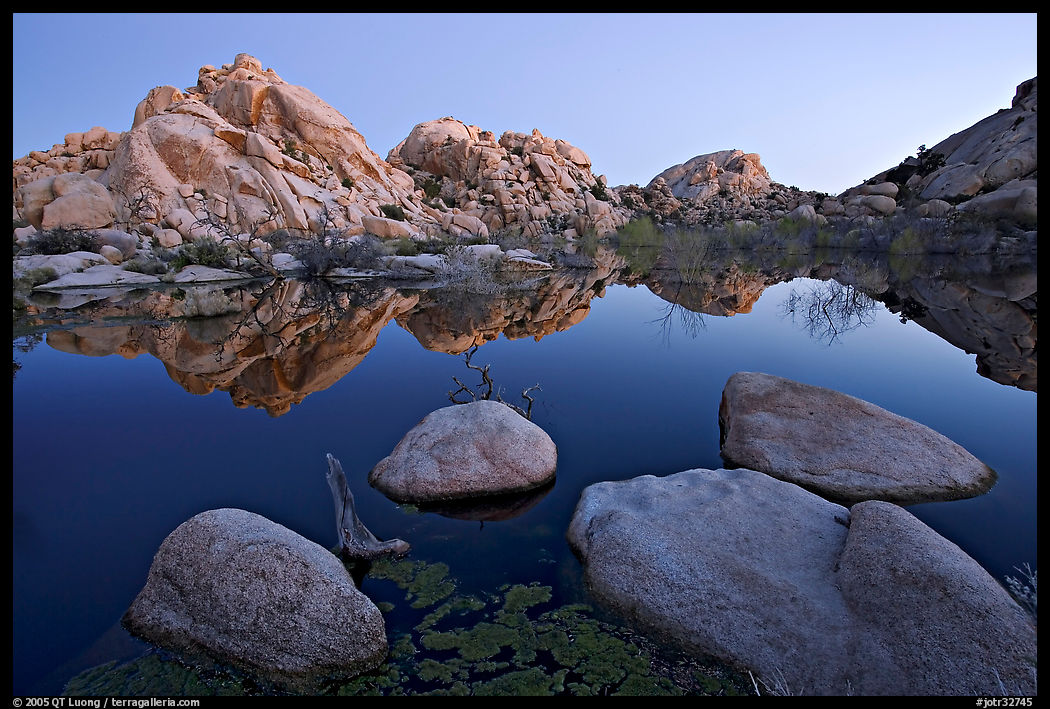 Boulders reflected in water, Barker Dam, dawn. Joshua Tree  National Park, California, USA.