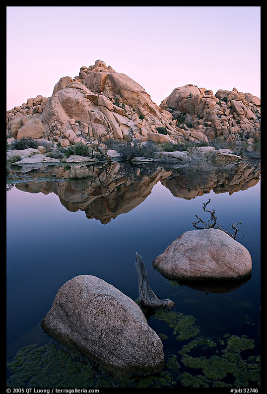 Rockpiles and reflections, Barker Dam, dawn. Joshua Tree  National Park, California, USA.
