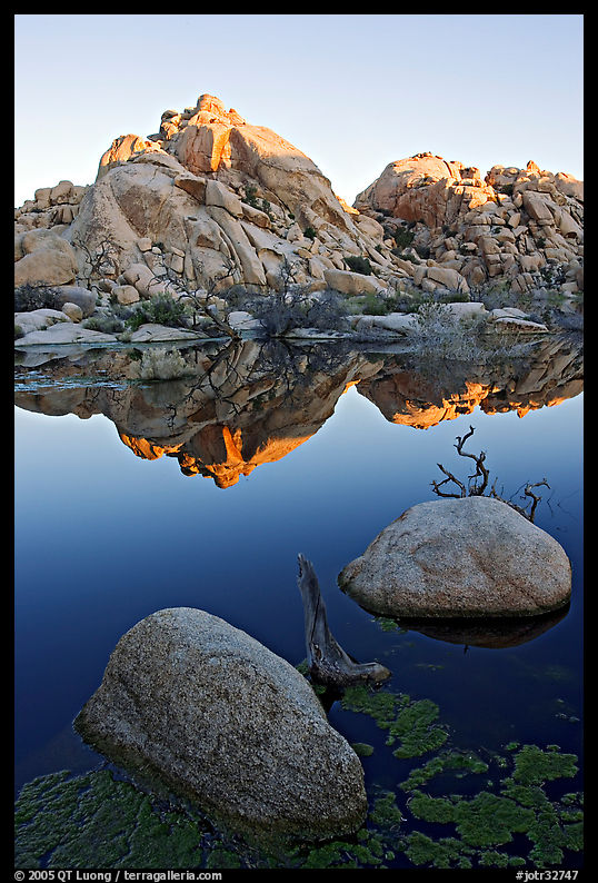 Rockpile and refections, Barker Dam, sunrise. Joshua Tree  National Park, California, USA.