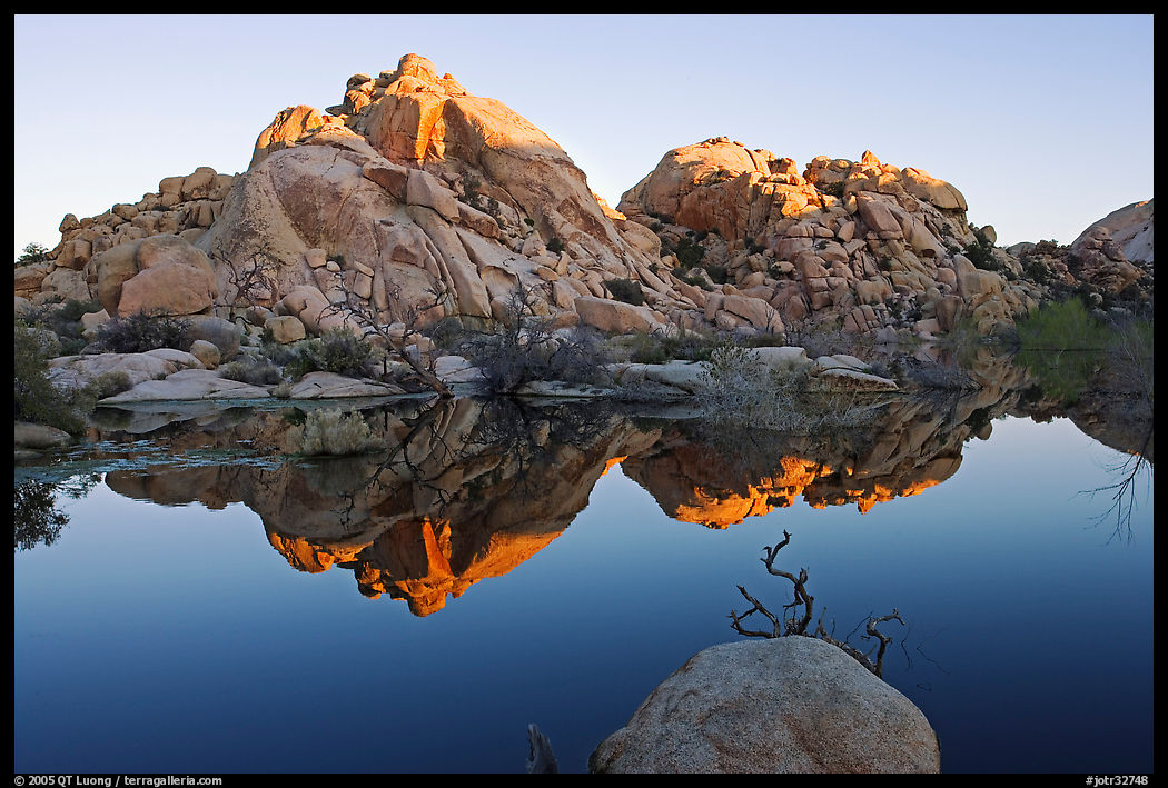 Rocks reflected in reservoir, Barker Dam, sunrise. Joshua Tree  National Park, California, USA.