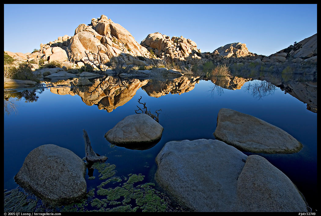 Rockpiles reflected in pond, Barker Dam, sunrise. Joshua Tree  National Park, California, USA.