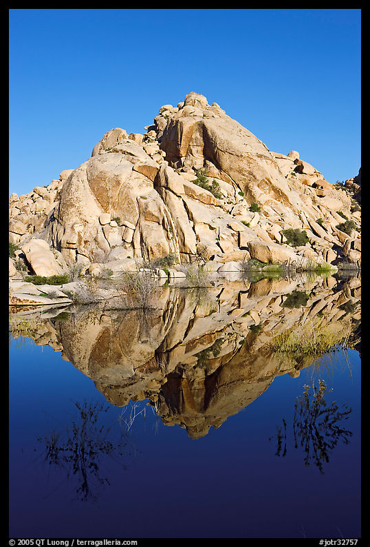 Rock formations reflected in Barker Dam Pond, morning. Joshua Tree  National Park, California, USA.