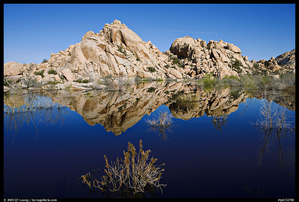 Rock formations reflected in Barker Dam Pond, morning. Joshua Tree  National Park, California, USA.
