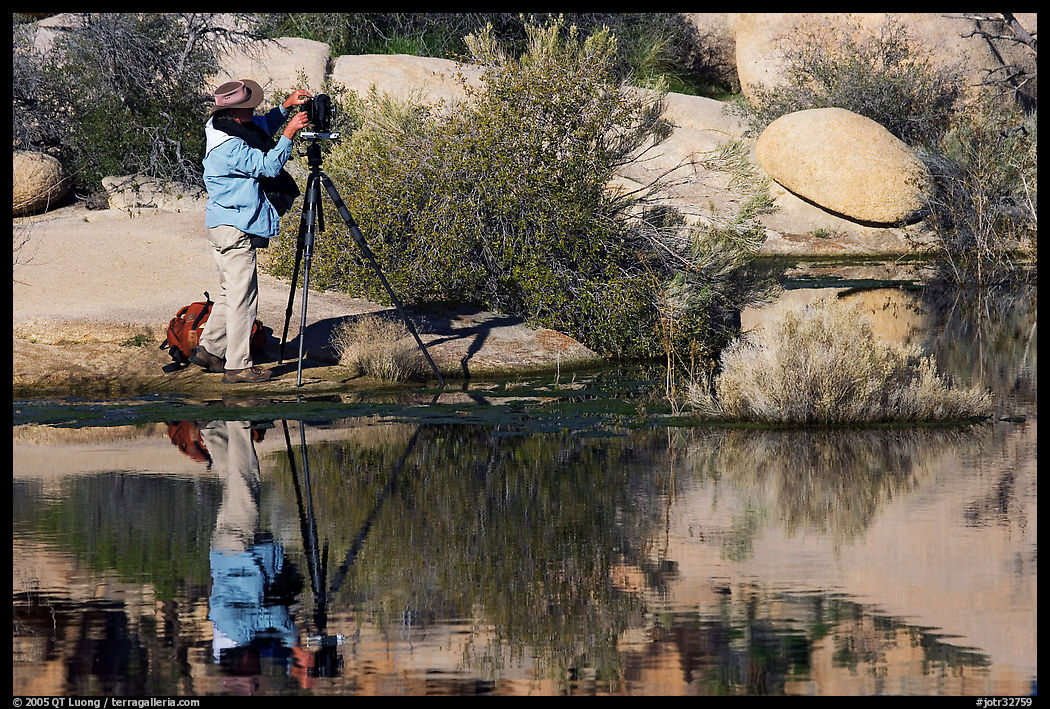 Photographer with large format camera at Barker Dam. Joshua Tree  National Park, California, USA.