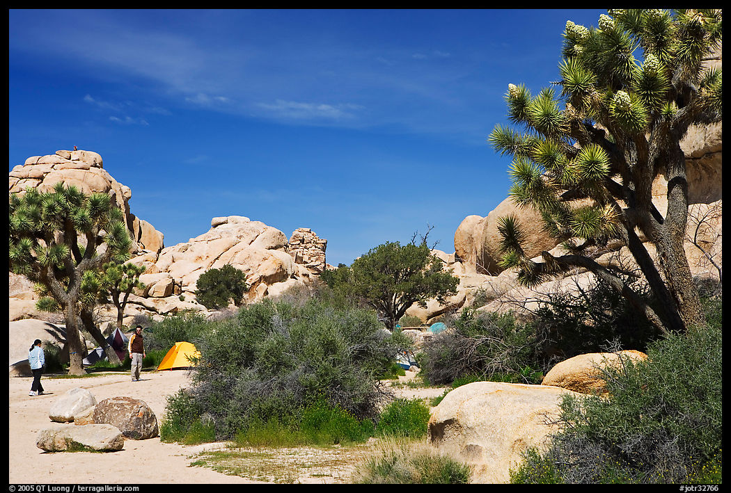 Campers, Hidden Valley Campground. Joshua Tree  National Park, California, USA.