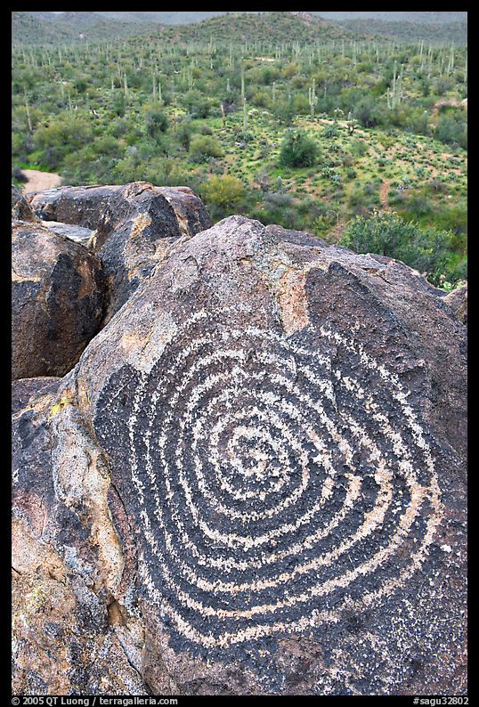 Circular Hohokam petroglyph. Saguaro  National Park, Arizona, USA.