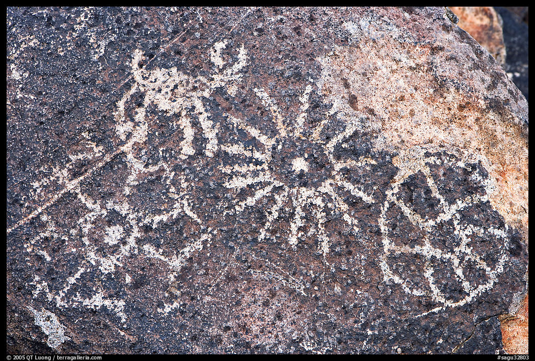 Hohokam petroglyphs. Saguaro  National Park, Arizona, USA.