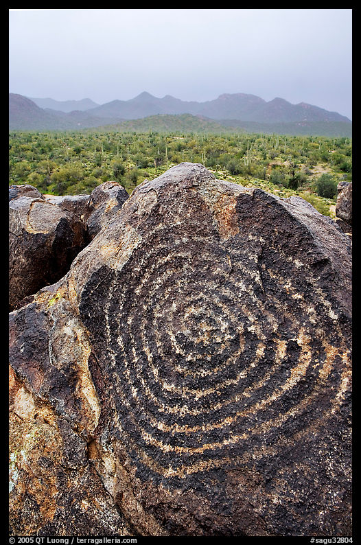 Circular Hohokam petroglyphs on Signal Hill. Saguaro  National Park, Arizona, USA.
