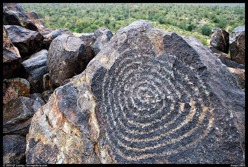 Hohokam petroglyphs on Signal Hill. Saguaro  National Park, Arizona, USA.