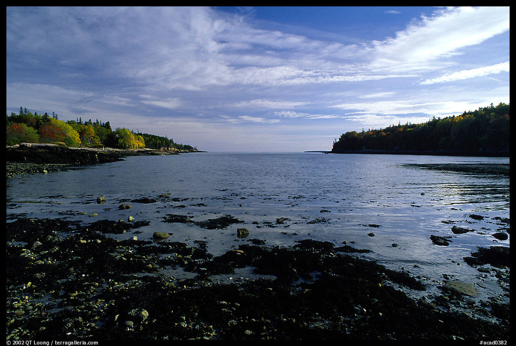 Somes sound. Acadia National Park, Maine, USA.