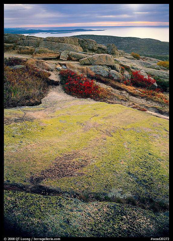 View over Atlantic from top of Mt Cadillac with granite slab covered with lichen. Acadia National Park, Maine, USA.